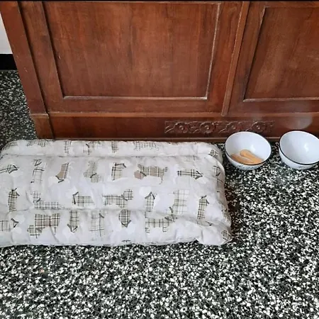 La Tana Dei Conigli Apartment Serra Ricco